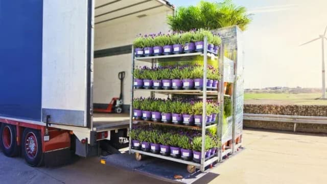 Chariot de fleurs en pot à l'arrière d'un camion sur une route ensoleillée